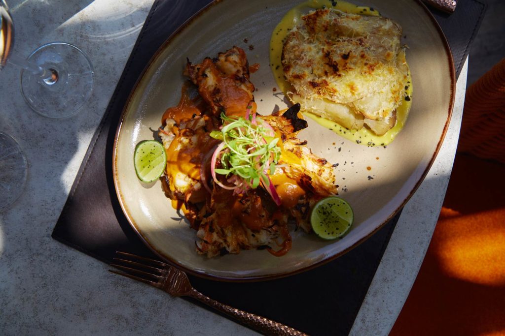 dinner dish with light beam decorated with garnish